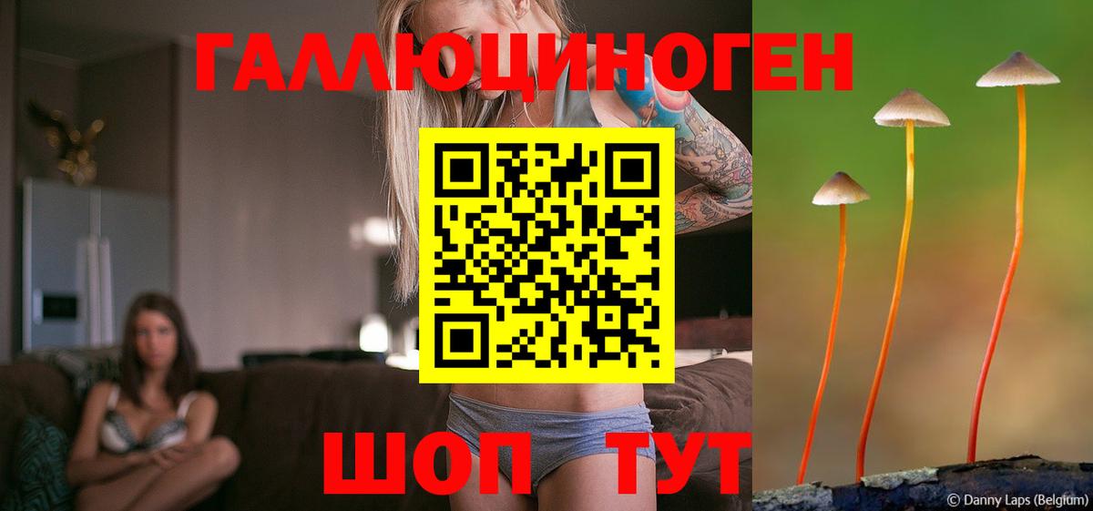 Саранск  Галлюциногенные грибы Psilocybe  где продают   Вход с VPN 